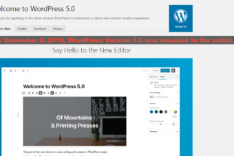 WordPress Version 5.0 “Bebo” was Released on December 6, 2018 – Your Website Need an Update.