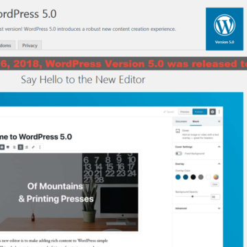 WordPress Version 5.0 “Bebo” was Released on December 6, 2018 – Your Website Need an Update.