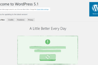 WordPress 5.1 “Betty” was released on February 21, 2019.