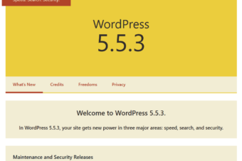 WordPress Version 5.5.3 October 30,2020 – Maintenance and Security Release