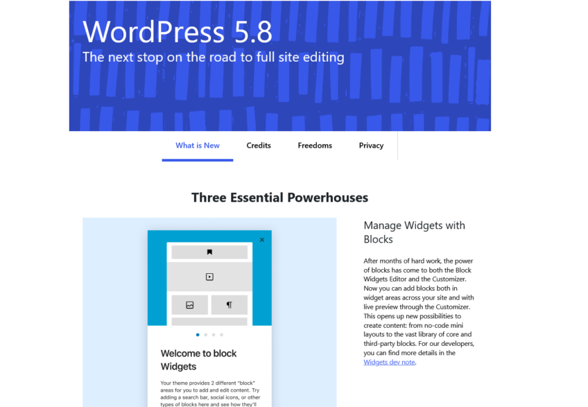 WordPress 5.8 was released  on July 20, 2021.