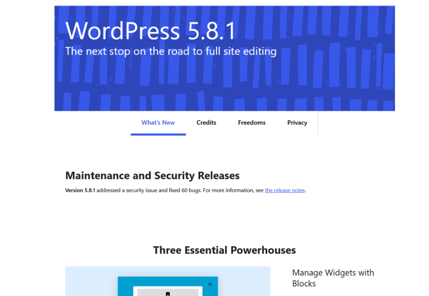 WordPress 5.8.1 Maintenance and Security Release Update