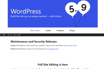 WordPress 5.9.2. Maintenance and Security Releases