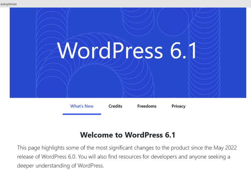 WordPress Version 6.1 November 1,2022