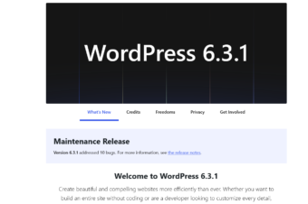 WordPress Version 6.3.1