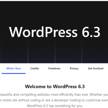 WordPress Version 6.3