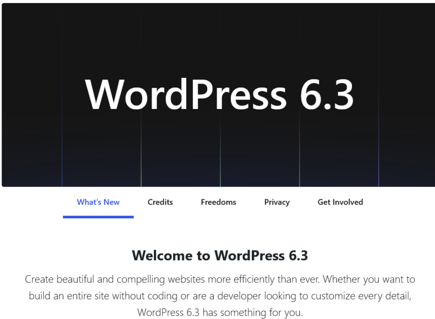 WordPress Version 6.3